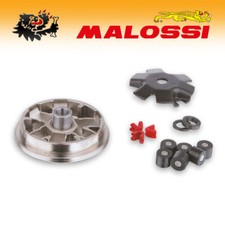 517142 [MALOSSI] Variateur