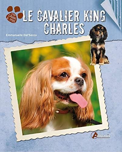 Cavalier king charles - le,