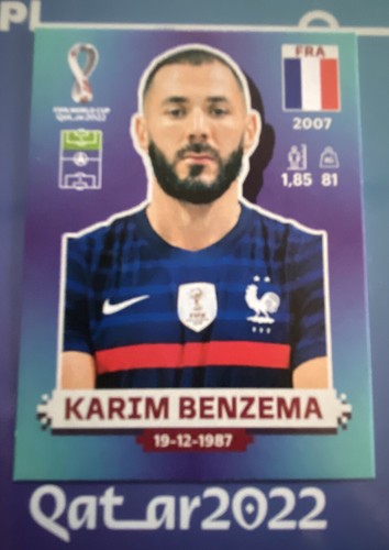 Foot qatar 2022 panini - foot,