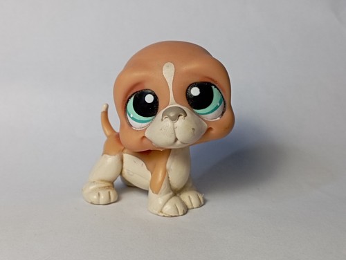 Lps littlest petshop - petshop, pet