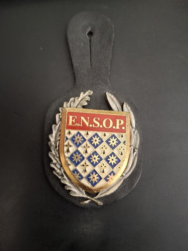 Insigne pucelle p - pucelle,