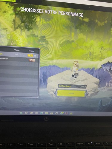 Compte dofus 200 feca - compte,