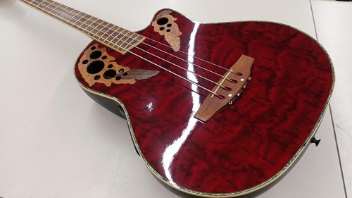 Guitare basse acoustique