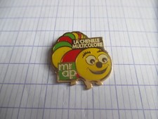 pin's  LA CHENILLE MULTICOLORE