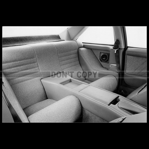 Photo 030025 lotus excel - lotus,