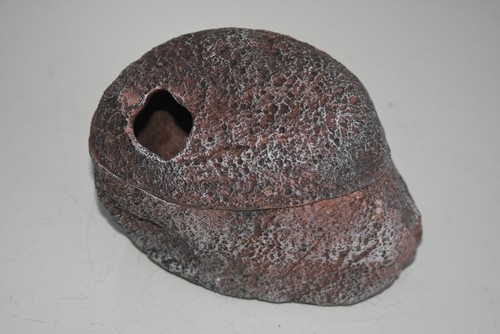 Vivarium reptile rock - vivarium,