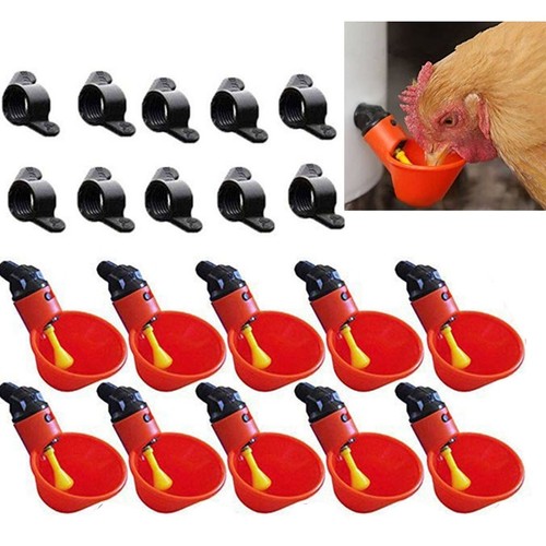 Pièces poulet oiseau - 10, poule