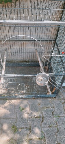 Cage grande perruche - cage, ou
