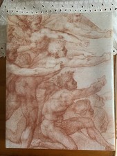 Michelangelo: Divine Draftsman