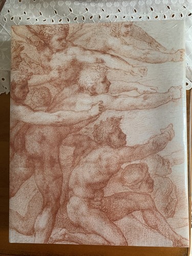 Michelangelo divine draftsman - michelangelo:,