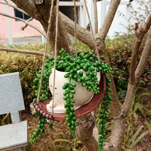 Pot fleur jardinière pour - fleur,
