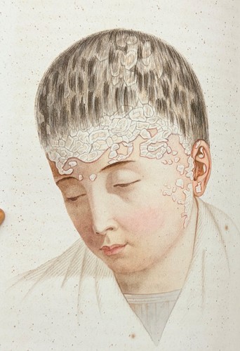Cazenave traité des - cazenave,