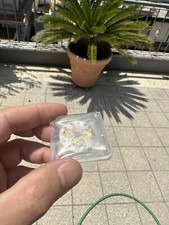 Rolex Daytona 116503 116508