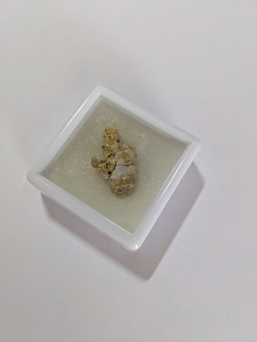 Specimen collection or - de,