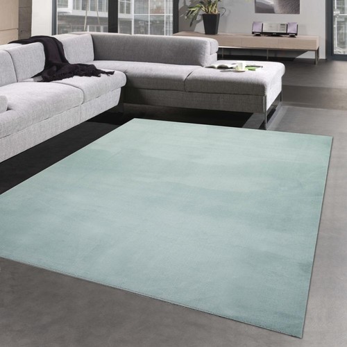 Tapis salon shaggy haut - tapis,
