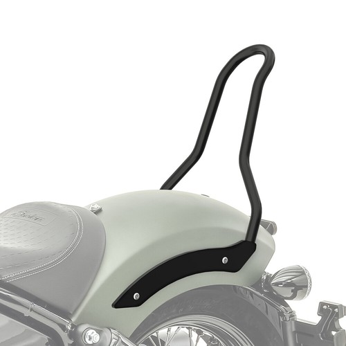 Sissy bar pour indian chief - sissy,