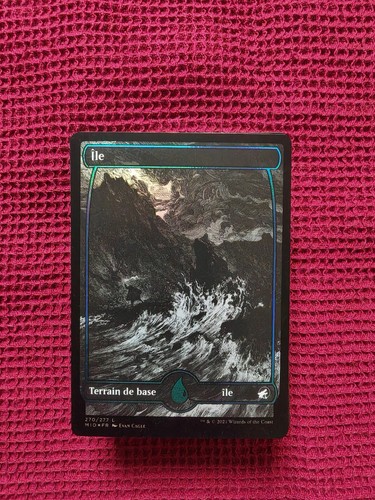 Lot cartes magic the - lot,