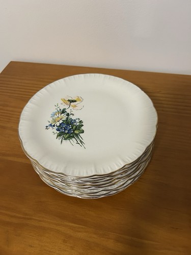 Lot assiettes a dessert - 10,