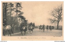 ATKP6-0546-60 - WHIPPED CREAM - Racehorses on the lawn