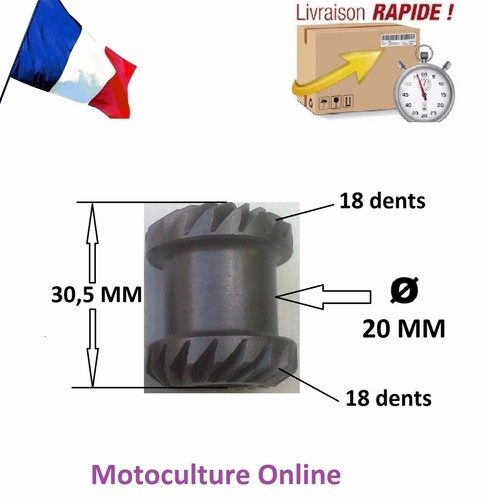 Pignon dents taille haie - pignon,