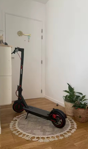 Trotinette électrique adulte - électrique,