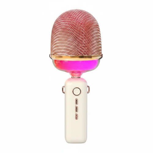 Micro karaoké effets écho - karaoké,