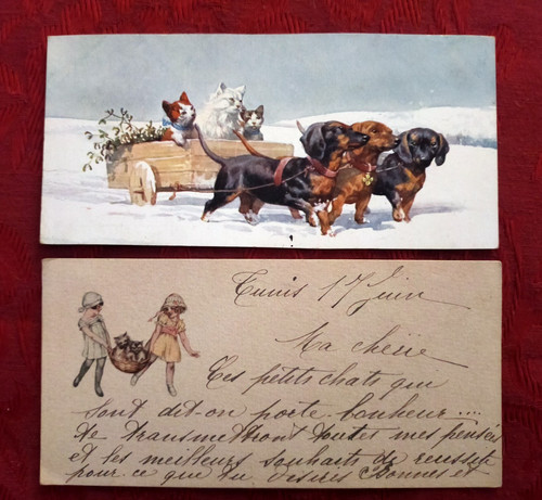 Cpa enfants au panier - cpa,