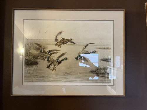 Rotig peintre vol canards - de,