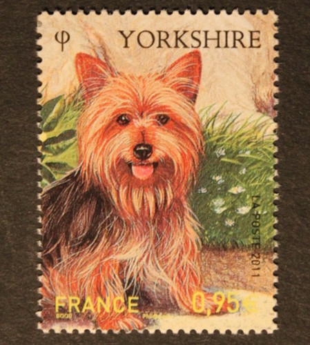 Timbre france yorkshire - -,