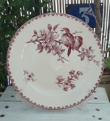 Assiette plate sarreguemines - assiette,
