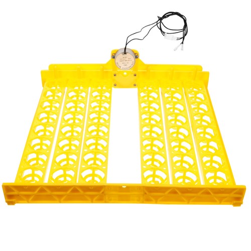 Pièce incubateur poulets - d'incubateur,