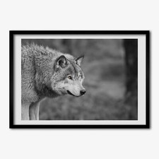 Tulup Photo 100x70cm Décor