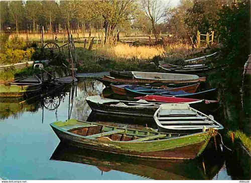 Carte postale tilques - 62,