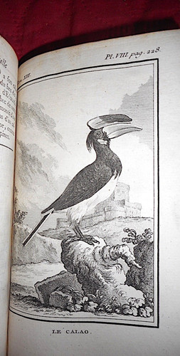 Ornithologie buffon histoire - buffon,