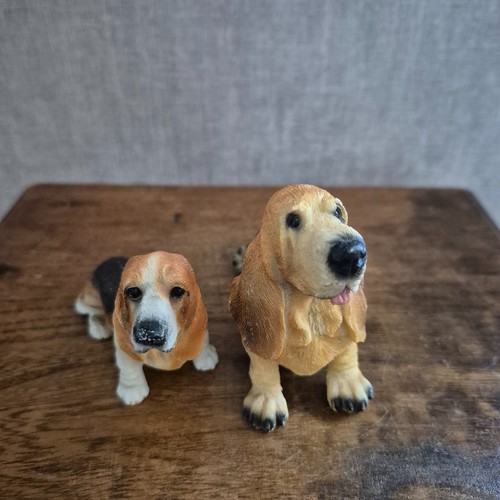 Lot basset hound - 2,