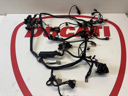 Faisceau câblage principal - faisceau, de