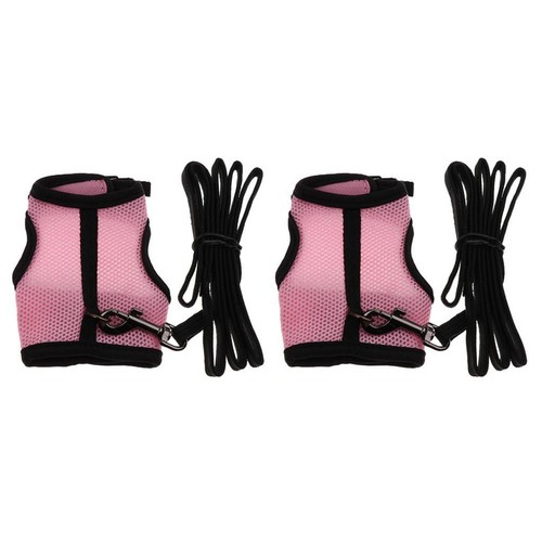 Hamster lapin cochon inde - 2x,