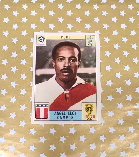 Album panini world cup - album,