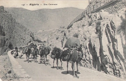Algérie une caravane 32323
