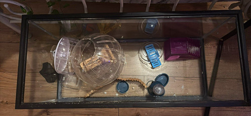 Gallon breeder tank - gallon, tank/