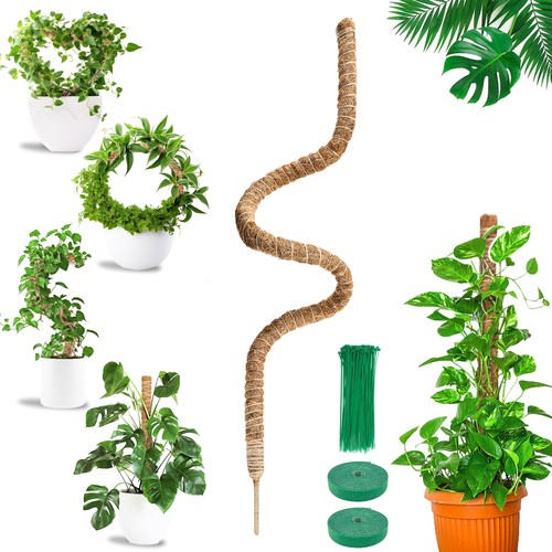 Tuteur monstera pliable 160 - monstera,