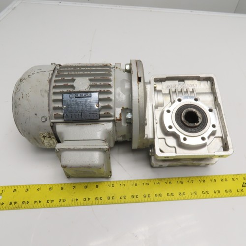 Bonfiglioli w63 p80b5 - u, moteur