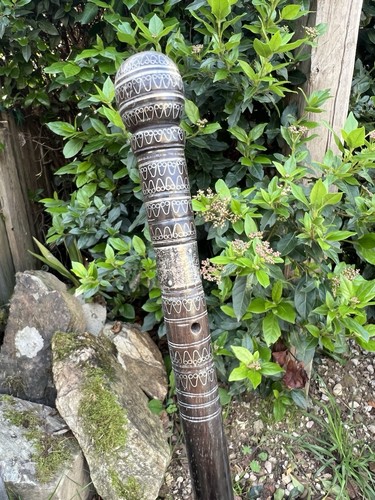 Canne badine xix - &, bois
