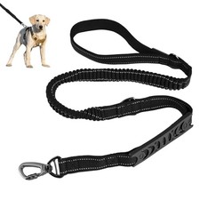 Bungee Laisse pour Chien, 1,2