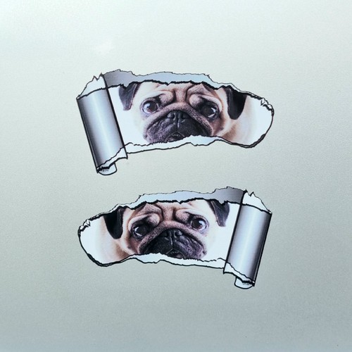 Mignon carlin chiot - mignon,
