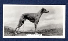 WHIPPET, Vicar of Vnys - Original 1938 Photo Cigarette Card