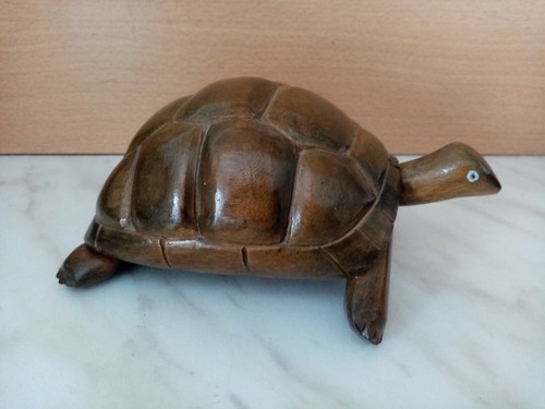 Figurine tortue geante - geante, de