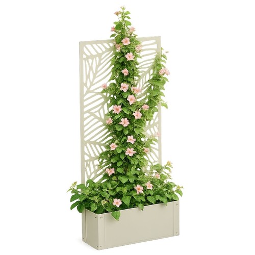 Mica decorations sapri support - decorations,