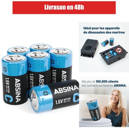 Absina piles lr14 5v - piles,
