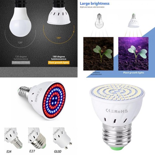 Led plante poussent des